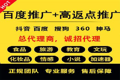 百度竞价推广经典案例解读